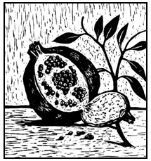 Pomegranate