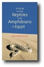 A Guide to the Reptiles and Amphibians of Egypt